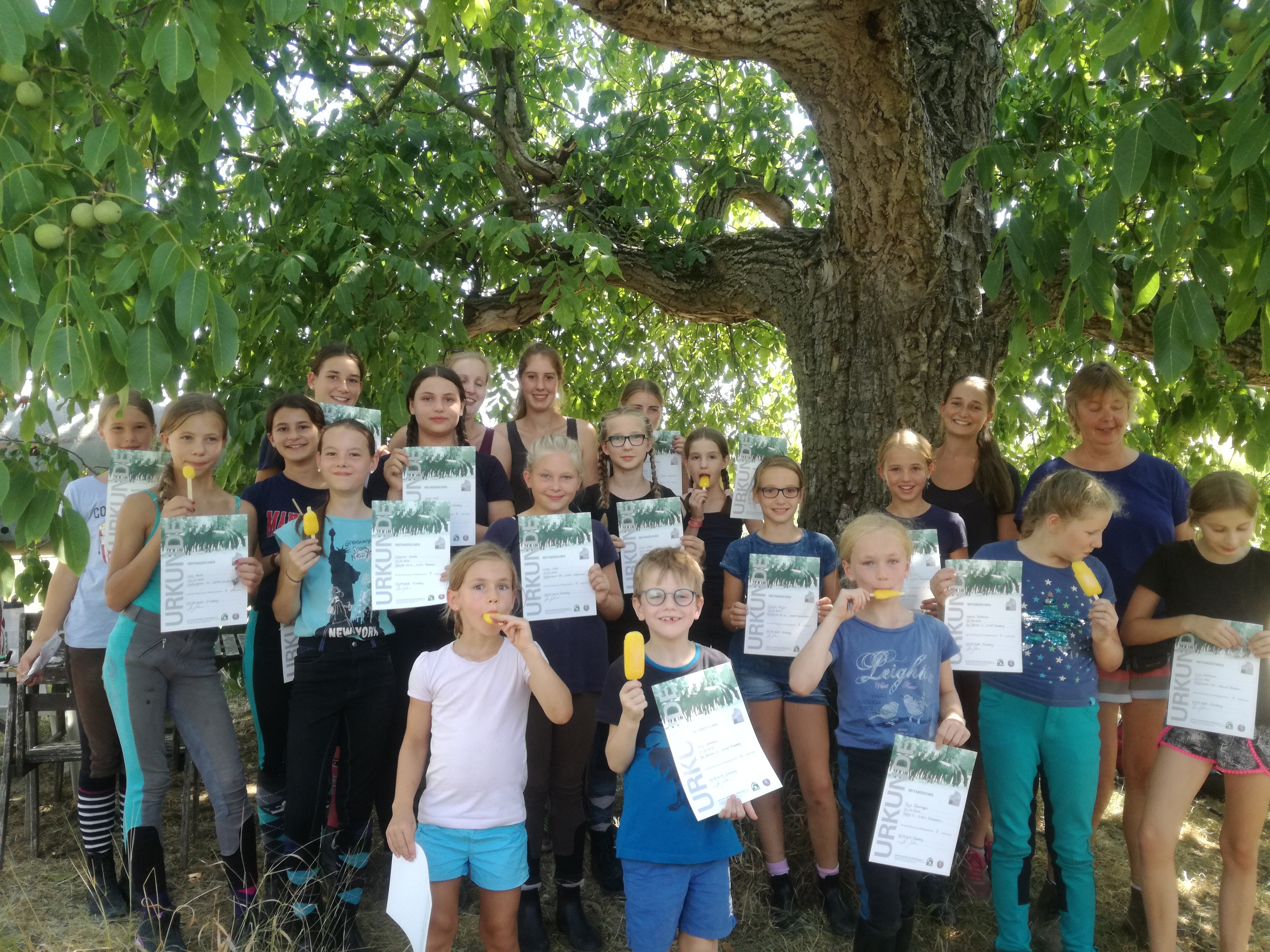 Reitabzeichen 2018